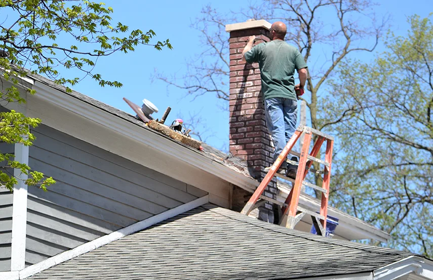 Chimney & Fireplace Inspections Services in Bloomingdale, FL